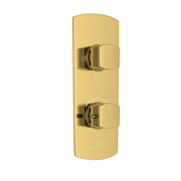 Aquamax 2 Outlet Thermostatic Shower Mixer