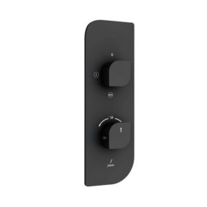 Aquamax 2 Outlet Thermostatic Shower Mixer