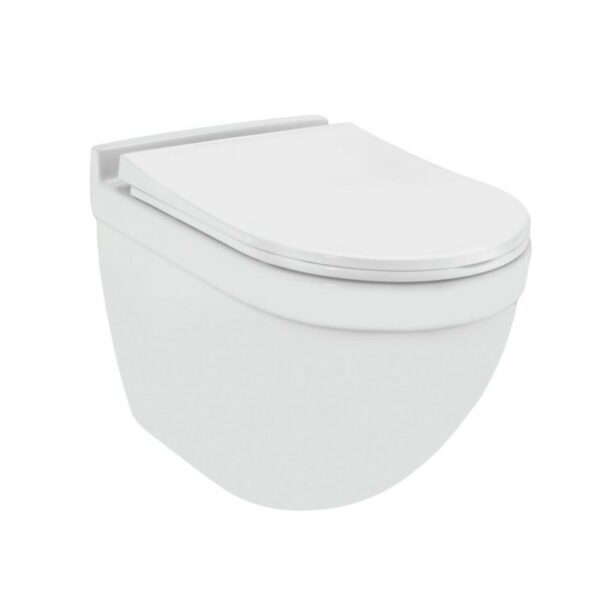 Wall Hung Toilet